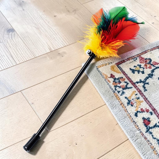 Widex Interactive Cat Wand Toy - Retractable 38" Carbon Fiber Rod with Natural Feathers & Bell - Extra Durable String - Exercise Toy for Indoor Cats & Kittens