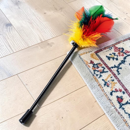 Widex Interactive Cat Wand Toy - Retractable 38" Carbon Fiber Rod with Natural Feathers & Bell - Extra Durable String - Exercise Toy for Indoor Cats & Kittens